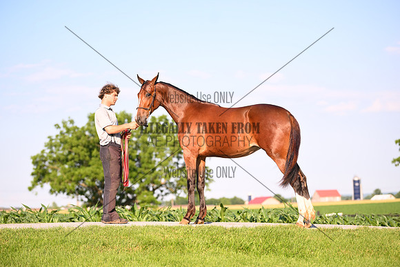 AJB_0892