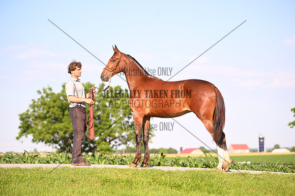 AJB_0893