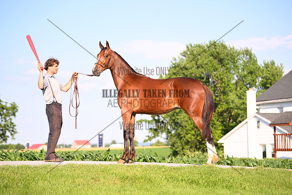 AJB_0897