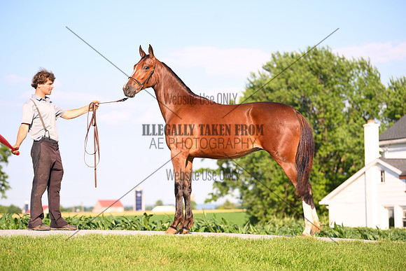 AJB_0901