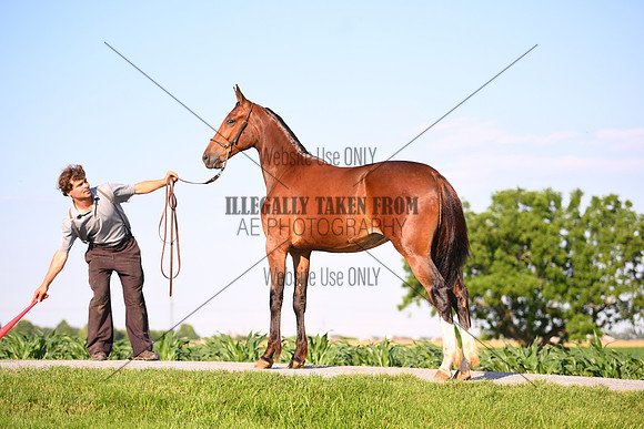 AJB_0906