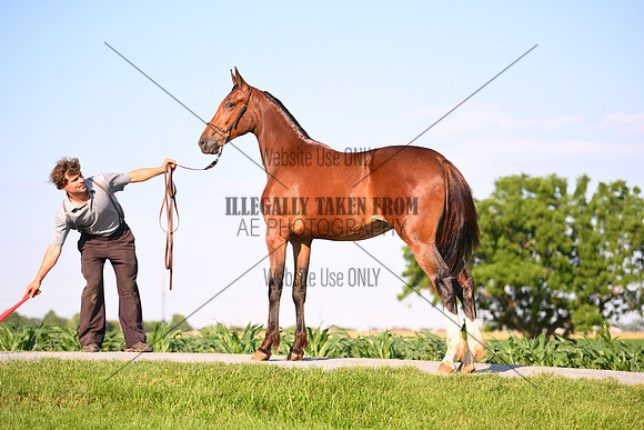 AJB_0907