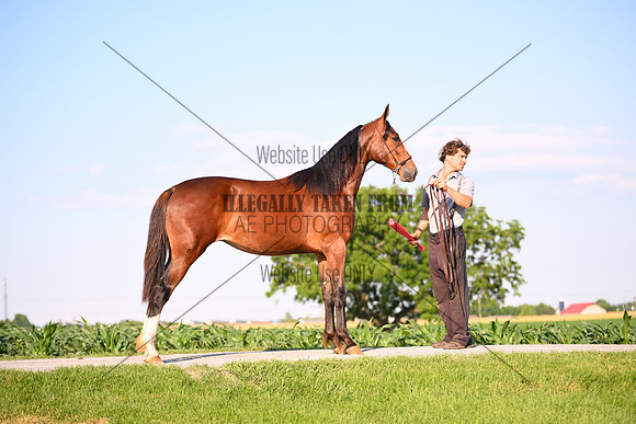 AJB_0915