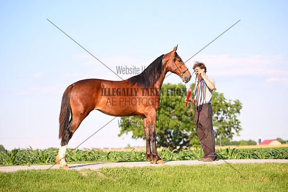 AJB_0916