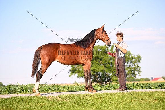 AJB_0917