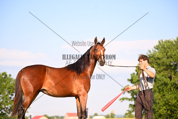 AJB_0920