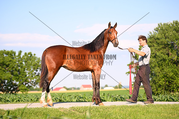 AJB_0922