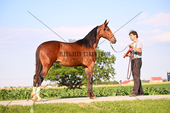 AJB_0923