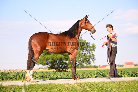 AJB_0924