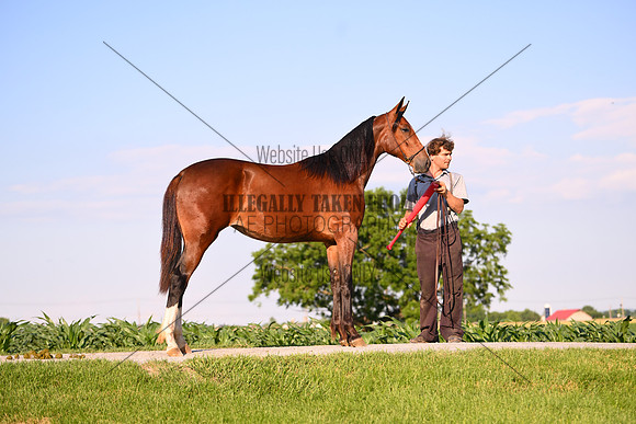 AJB_0927