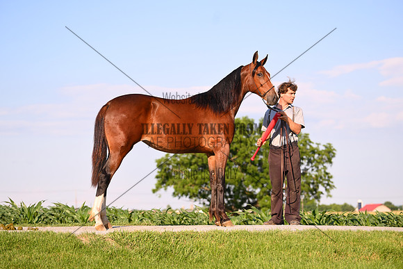 AJB_0928