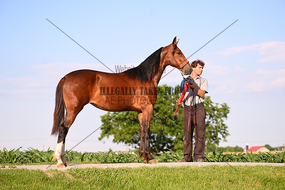 AJB_0930