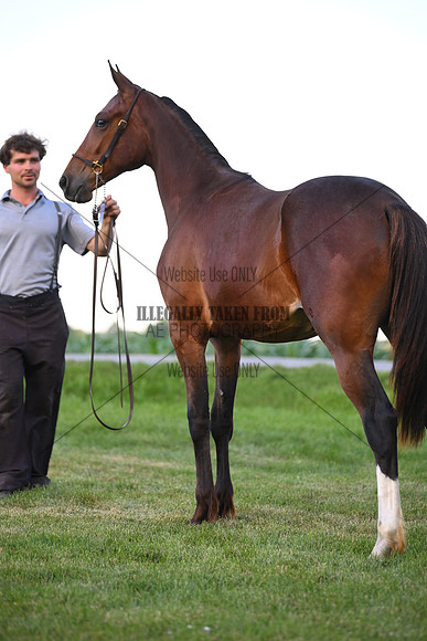 AJB_0948