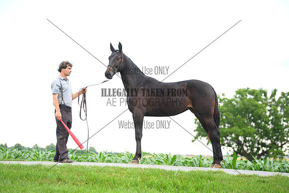 AJB_0967