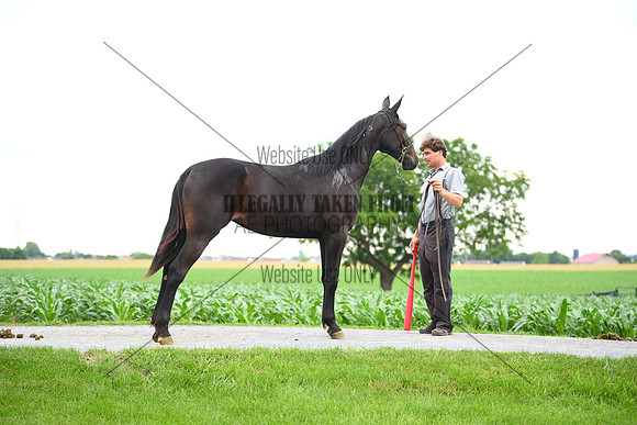 AJB_0977