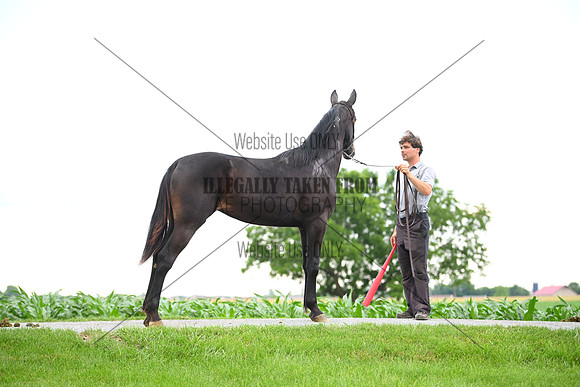 AJB_0978