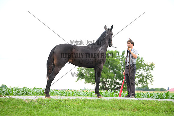 AJB_0979