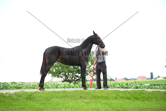 AJB_0980