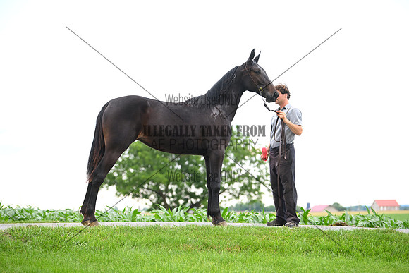 AJB_0983