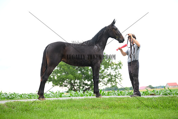 AJB_0986