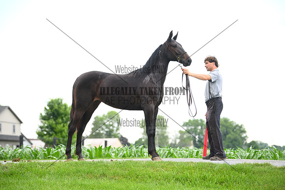 AJB_0988