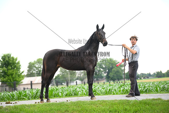 AJB_0994