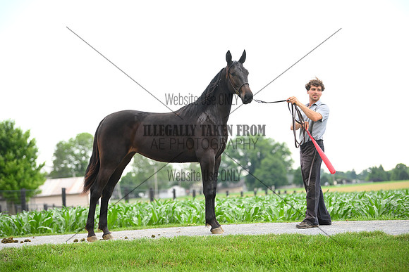 AJB_0995