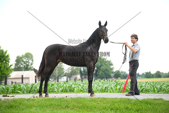 AJB_0996