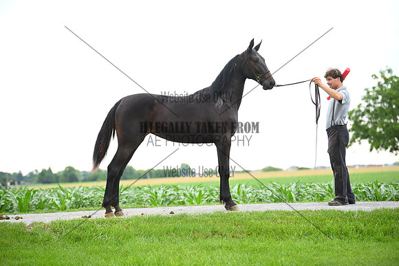 AJB_0997