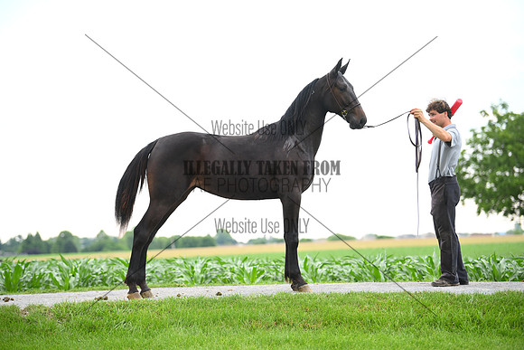 AJB_0998