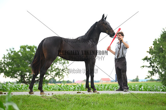 AJB_1008
