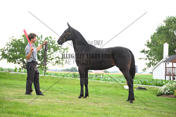AJB_1019