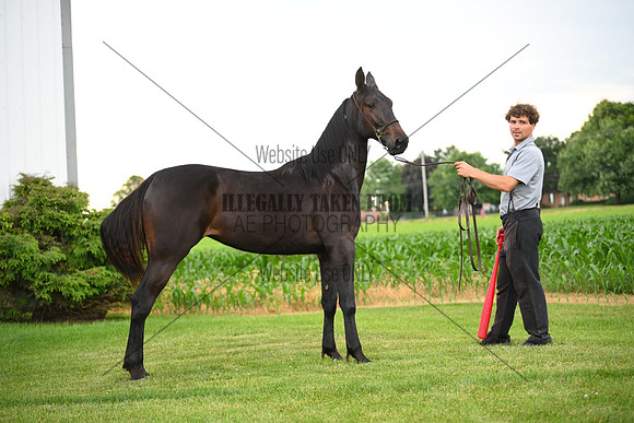 AJB_1028