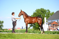 AJB_0791