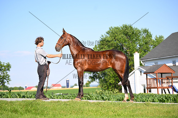 AJB_0791