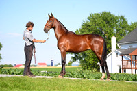 AJB_0793