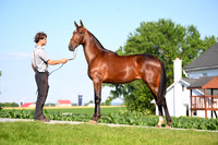 AJB_0794