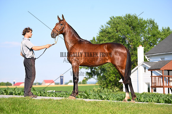 AJB_0795