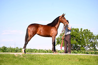 AJB_0802