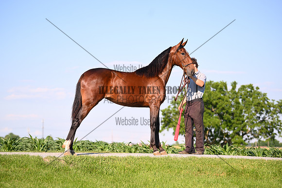 AJB_0802