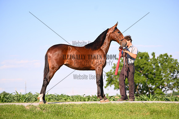 AJB_0805