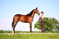 AJB_0806