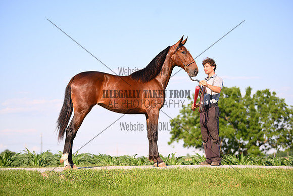 AJB_0806