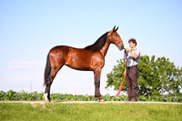 AJB_0810