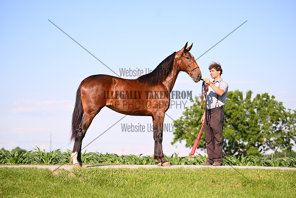 AJB_0810