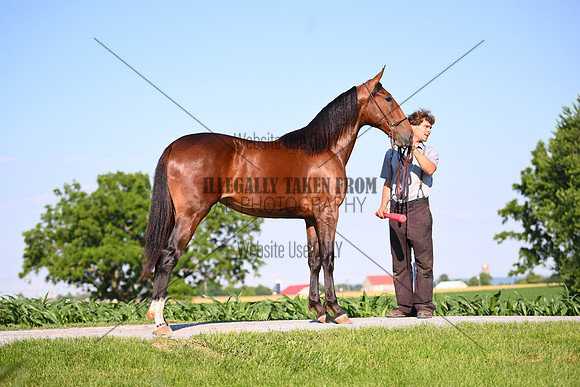 AJB_0816