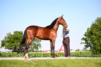 AJB_0818