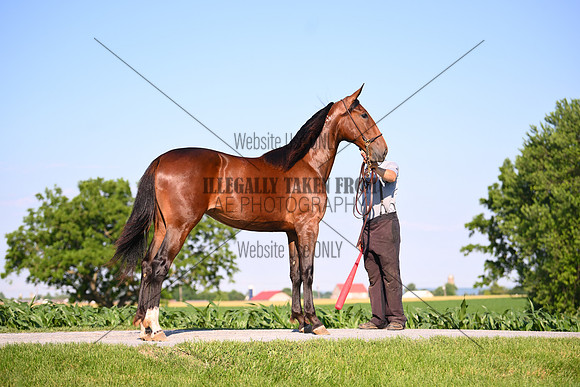 AJB_0818