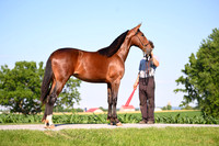 AJB_0822