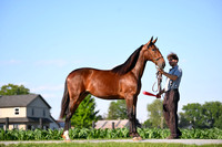 AJB_0823